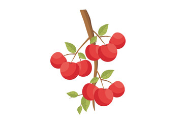 Apples. Vector red apple fruit. Illustration of an apple on a tree branch with green leaves