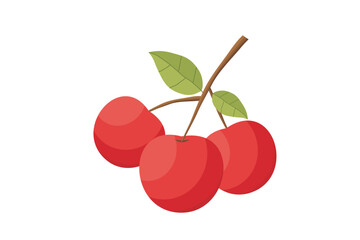 Apples. Vector red apple fruit. Illustration of an apple on a tree branch with green leaves