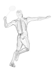 3d rendered medically accurate illustration of the skeleton of a badminton player