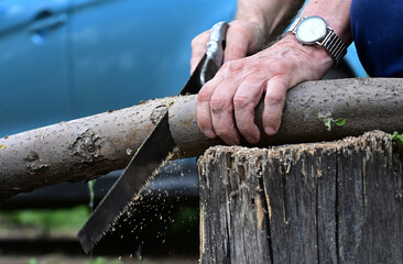 A man with a saw saws off a wooden board. The concept of cleaning in the suburban area. - obrazy, fototapety, plakaty
