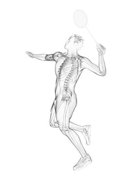 3d rendered medically accurate illustration of the skeleton of a badminton player