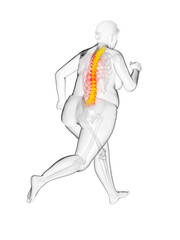3d rendered medically accurate illustration of the painful back of a running overweight woman