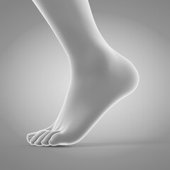 3d rendered medically accurate illustration of a walking foot