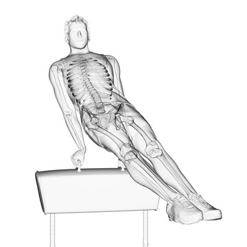 3d rendered medically accurate illustration of the skeleton of a gymnast