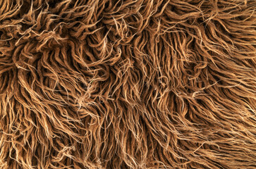 close up of brown fur
