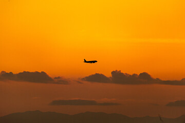 Fototapeta na wymiar 夕焼けの中の旅客機