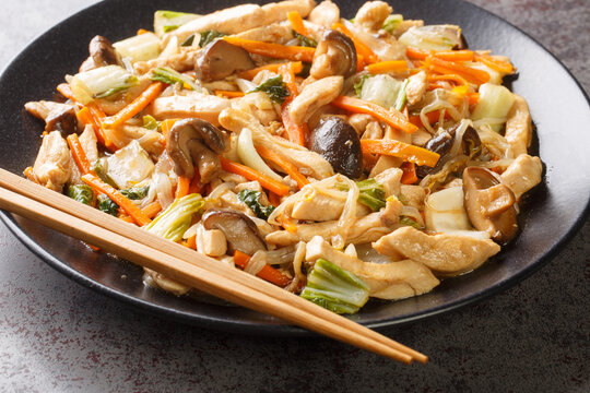 Chop suey made with chicken quickly sauteed with crisp mixed vegetables and bean sprouts in a thick brown sauce close-up in a plate on the table. Horizontal