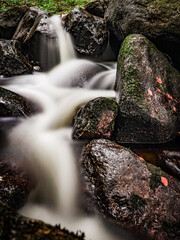 waterfall in the forest