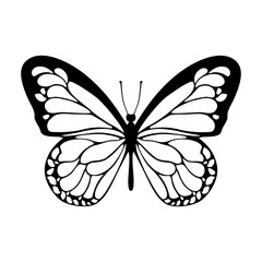 Butterfly Silhouette