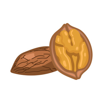 valt nut seed