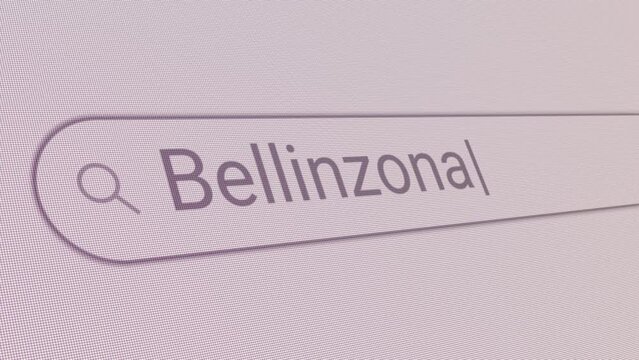 Search Bar Bellinzona 
Close Up Single Line Typing Text Box Layout Web Database Browser Engine Concept