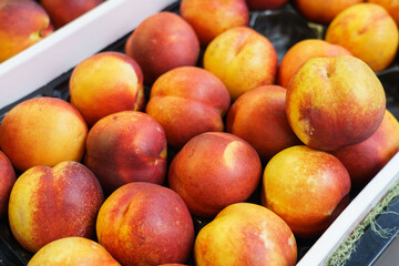 Orchard market display of boxes filled with fresh picked yellow peaches - selective focus