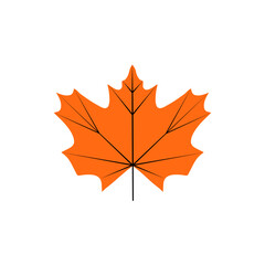 autumn maple leaf flat illustration