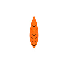 fall leaves orange autumn flat illustration