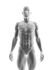 3d rendered medically accurate illustration of a ripped male model