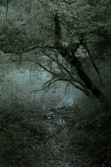 Rivi&egrave;re &eacute;trange