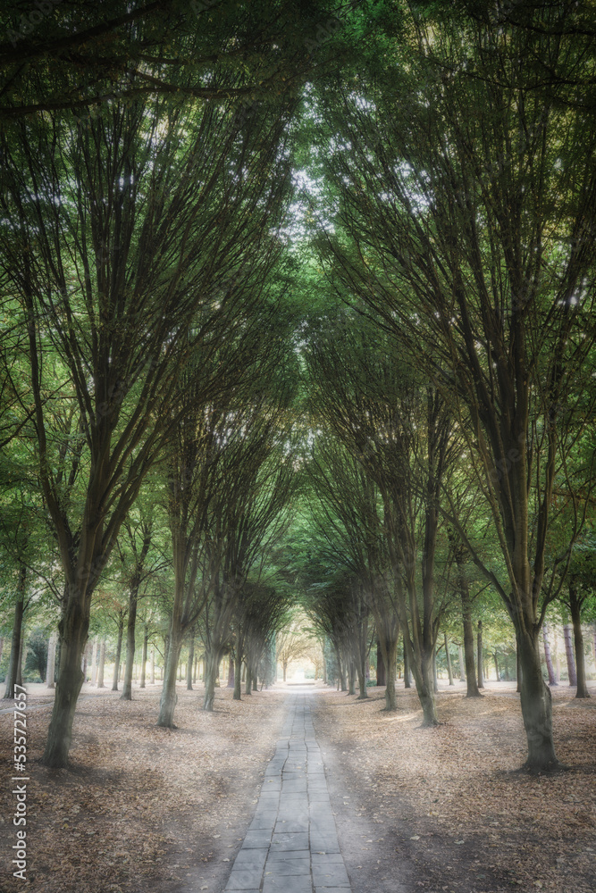 Sticker Lane path with green trees in the park