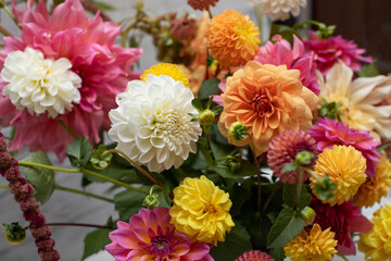 Kompozycja kwiatowa z kwiatów dalii, różowy bukiet kwiatów