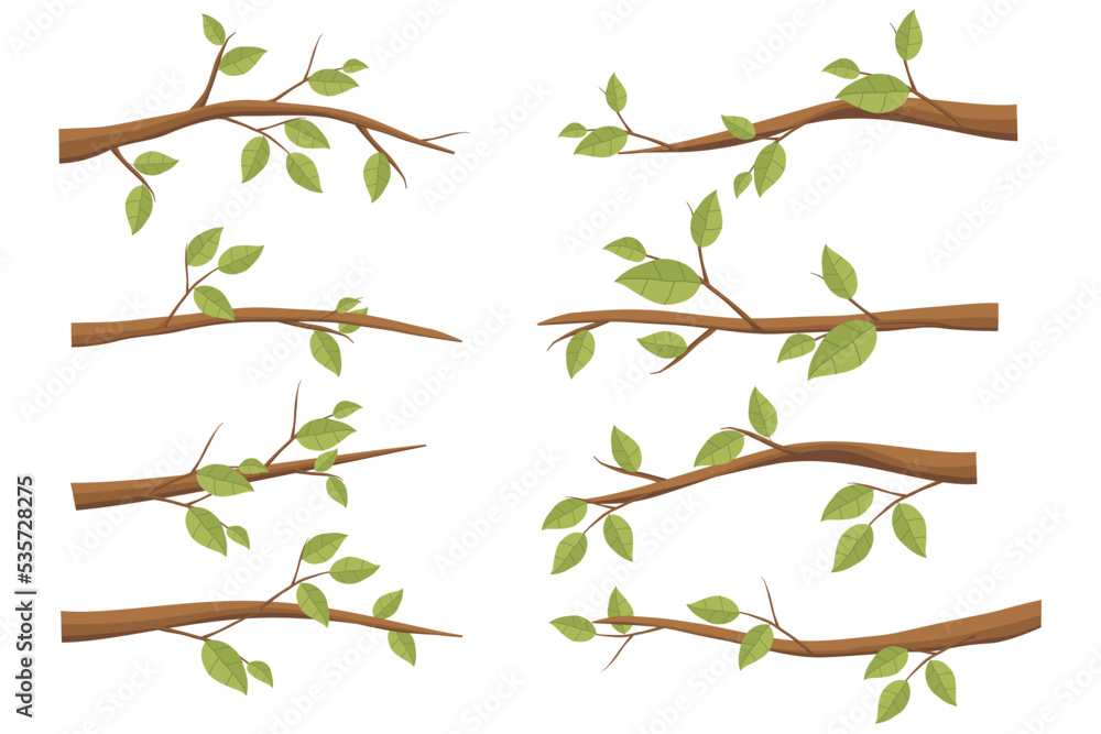 Wall mural set tree branches. illustration of a tree branch with green leaves