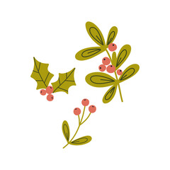 Hand draw Christmas floral elements.Winter plants.Decor for New Year and hristmas.