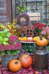 Foto op Canvas Herbst-Arrangement mit Rostlaterne, Blumen und Kürbissen im Garten © Natalia Greeske