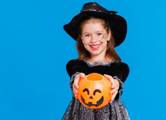Happy girl in  witch costume with pumpkin  jack-o-lantern celebrates Halloween and laughs on blue...