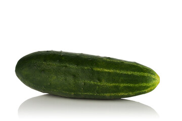 Ripe green cucumber