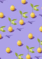 Citrus pattern made with fresh ripe lemons and leaves on bright purple background. Minimal fruits concept. Trendy healthy food idea.