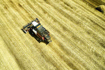 a combine harvester harvesting a field of wheat rural landscape