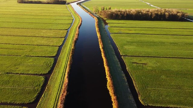 Aerial drone footage of vast green Dutch farmland fields in the countryside, separated by water canals. Filmed at sunrise.