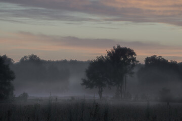 Misty morning