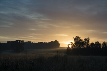 Sunrise over the wood