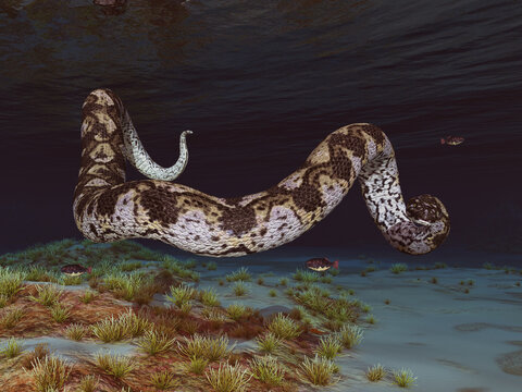 Prähistorische Riesenschlange Titanoboa unterwasser