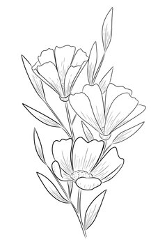 collection of flower graphics black and white illustration set elements