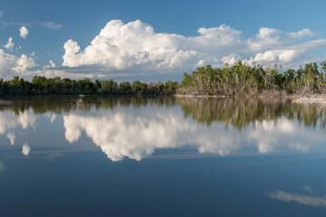 Fototapeta na wymiar lake in the Everglades, Florida