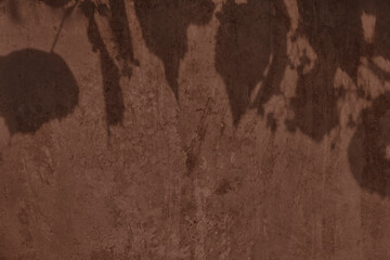 Abstract tree leaves shadows on brown concrete wall texture with roughness and irregularities. Abstract trendy colored nature concept background. Copy space for text overlay, poster mockup flat lay 