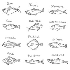 Collection of fish. Outline icons. Hand drawn vector illustrations.