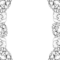 Hand drawn vector square frame wreath arrangement with peony flowers, buds and leaves. Isolated on white background. Design for invitations, wedding or greeting cards, wallpaper, print, textile