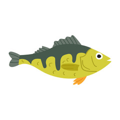 Fish. Perch. Flat icon. Vector hand drawn illustration on white background.