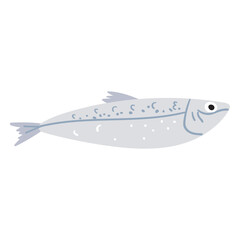 Fototapeta premium Sardine. Flat vector illustration on white background.