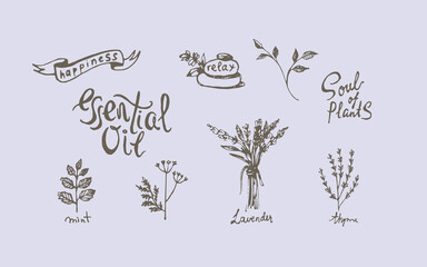 Herbal and Spa Hand Drawn Set. Vector Illustration.
