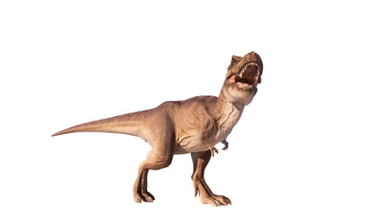 Trex tyrant dinosaur isolated on empty background PNG