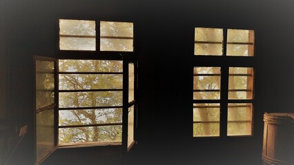 windows