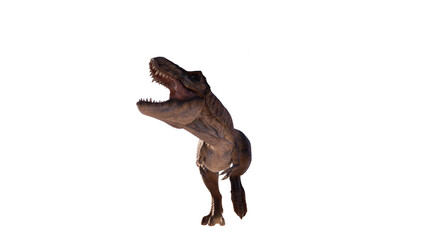 Obraz premium Trex tyrant dinosaur isolated on empty background PNG