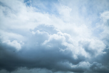 Dark sky and a sharp black cloud before the rain.