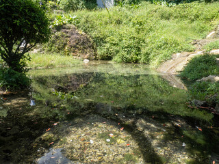 沖縄県南城市玉城垣花樋川