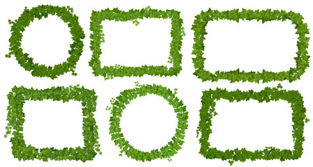 Ivy frames with green leaves on lianas, climbing vines of creeper plant. Cartoon vector round, rectangular and square ivy borders or frames. Isolated floral decor