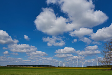 Windkraftanlage mit Rapsfeld	
