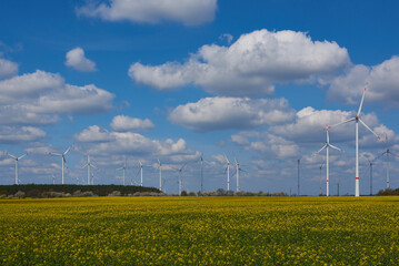 Windkraftanlage mit Rapsfeld	
