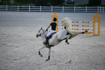 Foto op Canvas White sport horse in a show jumping competition kicks and bucking. Strong grey horse kicking and bolting. Sports horse and rider at the tournament. © OleksandrZastrozhnov